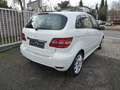 Mercedes-Benz B 160 Autom-Klima-Sitzheizung-erst 86.000 KM-eFH aktiver Weiß - thumbnail 5