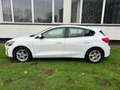 Ford Focus 1.0 EcoBoost Hybrid Edition Business | CarPlay | C Wit - thumbnail 7