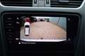Skoda Octavia Combi 1.5 TSI Greentech Business Edition Plus O.a: Wit - thumbnail 15