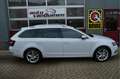 Skoda Octavia Combi 1.5 TSI Greentech Business Edition Plus O.a: Wit - thumbnail 2