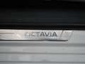Skoda Octavia Combi 1.4 TSI iV PHEV Business Edition / Adap. Cru Blanco - thumbnail 43