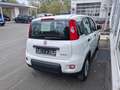 Fiat Panda 1.0 GSE Hybrid 51kw (70PS) Bianco - thumbnail 3