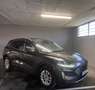Ford Kuga 2.0 EcoBlue MEHV Titanium FWD 150 Gris - thumbnail 6