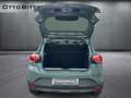 Dacia Sandero Stepway Extreme TCe110 CITY-PAKET Verde - thumbnail 13