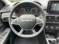 Dacia Sandero Stepway Extreme TCe110 CITY-PAKET Verde - thumbnail 9