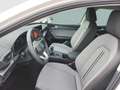 SEAT Leon Style Edition 1.5 TSI 115 PS Weiß - thumbnail 8