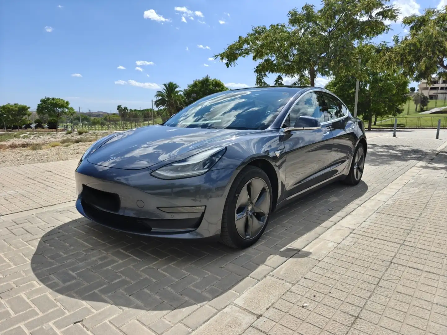 Tesla Model 3 Long-Range RWD Gris - 2
