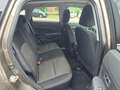Mitsubishi ASX 2.2 DI-D Intense 4WD Automatik*AHK* Braun - thumbnail 10