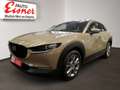 Mazda CX-30 2.5L e-SKYACT Head UP, Sitzheizung, - thumbnail 3