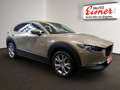 Mazda CX-30 2.5L e-SKYACT Head UP, Sitzheizung, - thumbnail 15
