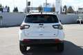 Jeep Compass 1.5 Turbo T4 130 CV MHEV 2WD Summit Weiß - thumbnail 6