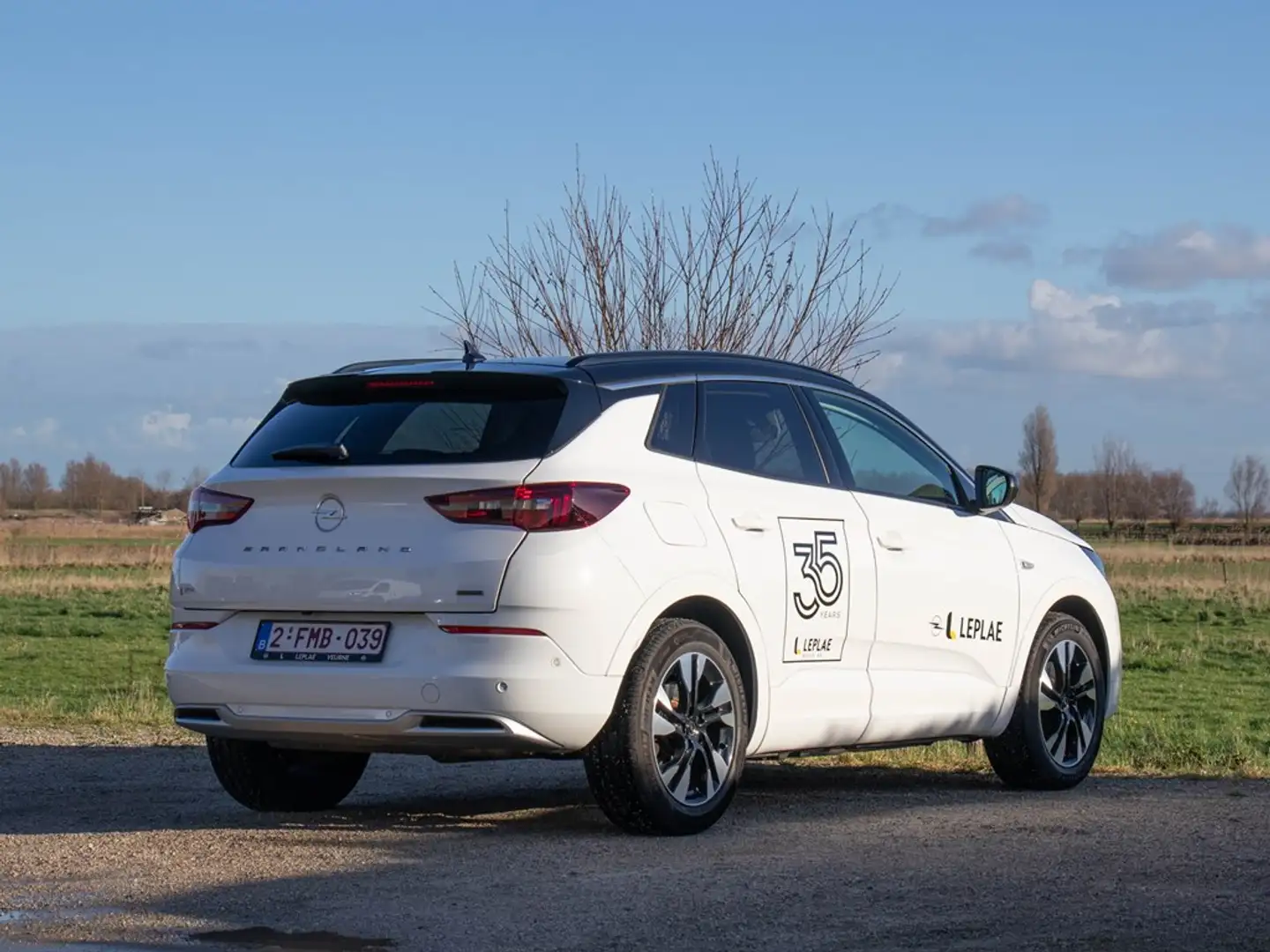 Opel Grandland 1.6T 180PK|PLUG-IN HYBRIDE|DEMO|LEDER|BUSSINES ELE Blanc - 2