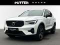 Volvo XC40 B3 Benzin Plus Dark 18'' 360 Kamera LED ACC DAB Ha Weiß - thumbnail 1
