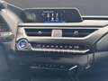 Lexus UX 250h 250h STYLE EDITION*LED*KAM* CARPLAY*GARANTIE Schwarz - thumbnail 15