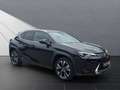 Lexus UX 250h 250h STYLE EDITION*LED*KAM* CARPLAY*GARANTIE Schwarz - thumbnail 7