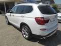 BMW X3 20 d xDrive Steptronic xLine AHK/Xenon/Navi/Pano/H Weiß - thumbnail 15