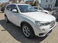 BMW X3 20 d xDrive Steptronic xLine AHK/Xenon/Navi/Pano/H Weiß - thumbnail 16