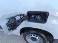 Citroen Berlingo BlueHDi S&S Talla M Live 100 Blanco - thumbnail 33