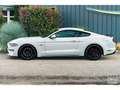 Ford Mustang GT 5.0L V8 450CH BVA10 PREMIUM + B\u0026O Blanc - thumbnail 18