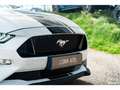 Ford Mustang GT 5.0L V8 450CH BVA10 PREMIUM + B\u0026O Blanc - thumbnail 28