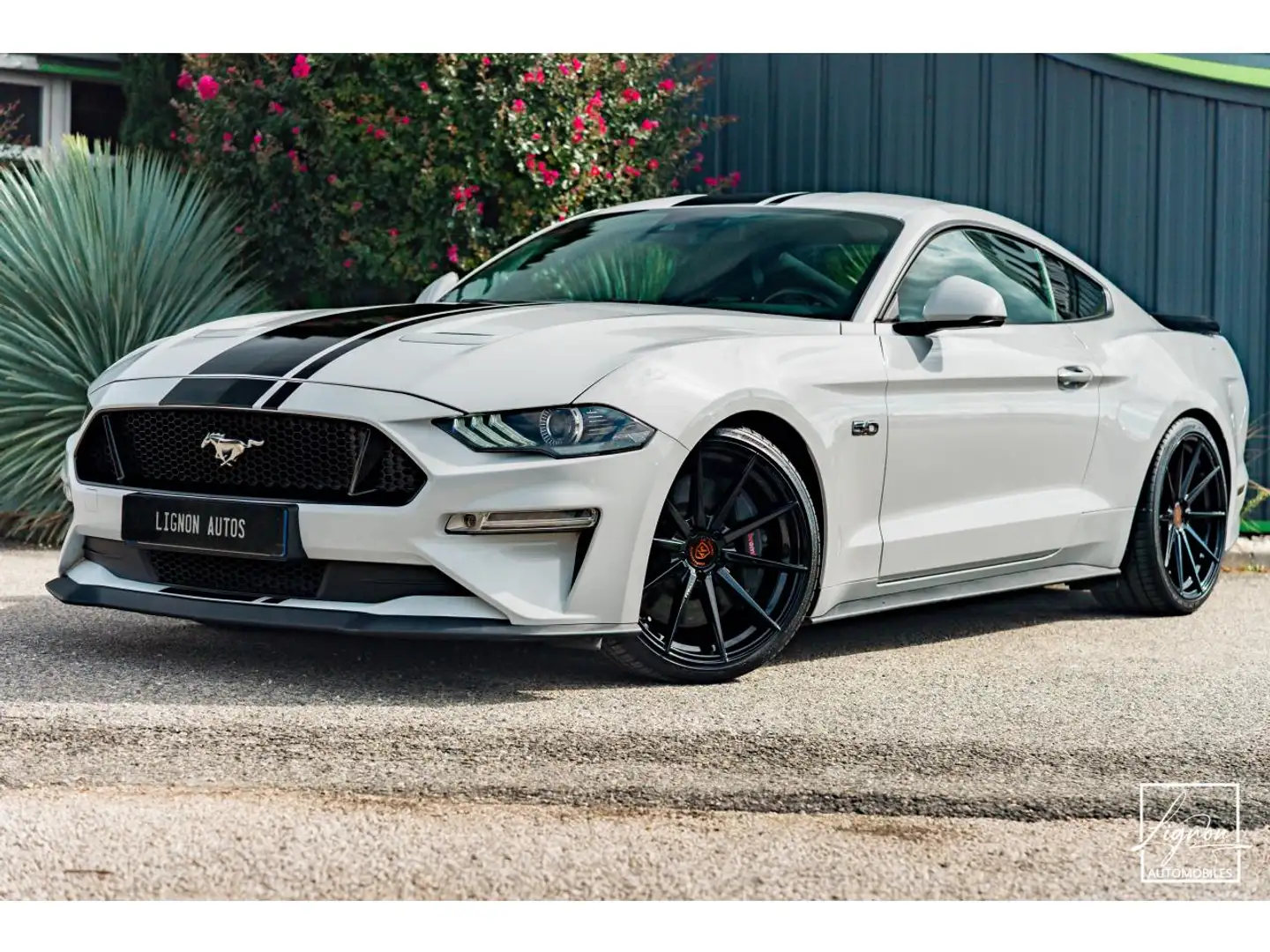 Ford Mustang GT 5.0L V8 450CH BVA10 PREMIUM + B\u0026O Blanc - 1