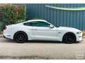 Ford Mustang GT 5.0L V8 450CH BVA10 PREMIUM + B\u0026O Blanc - thumbnail 17