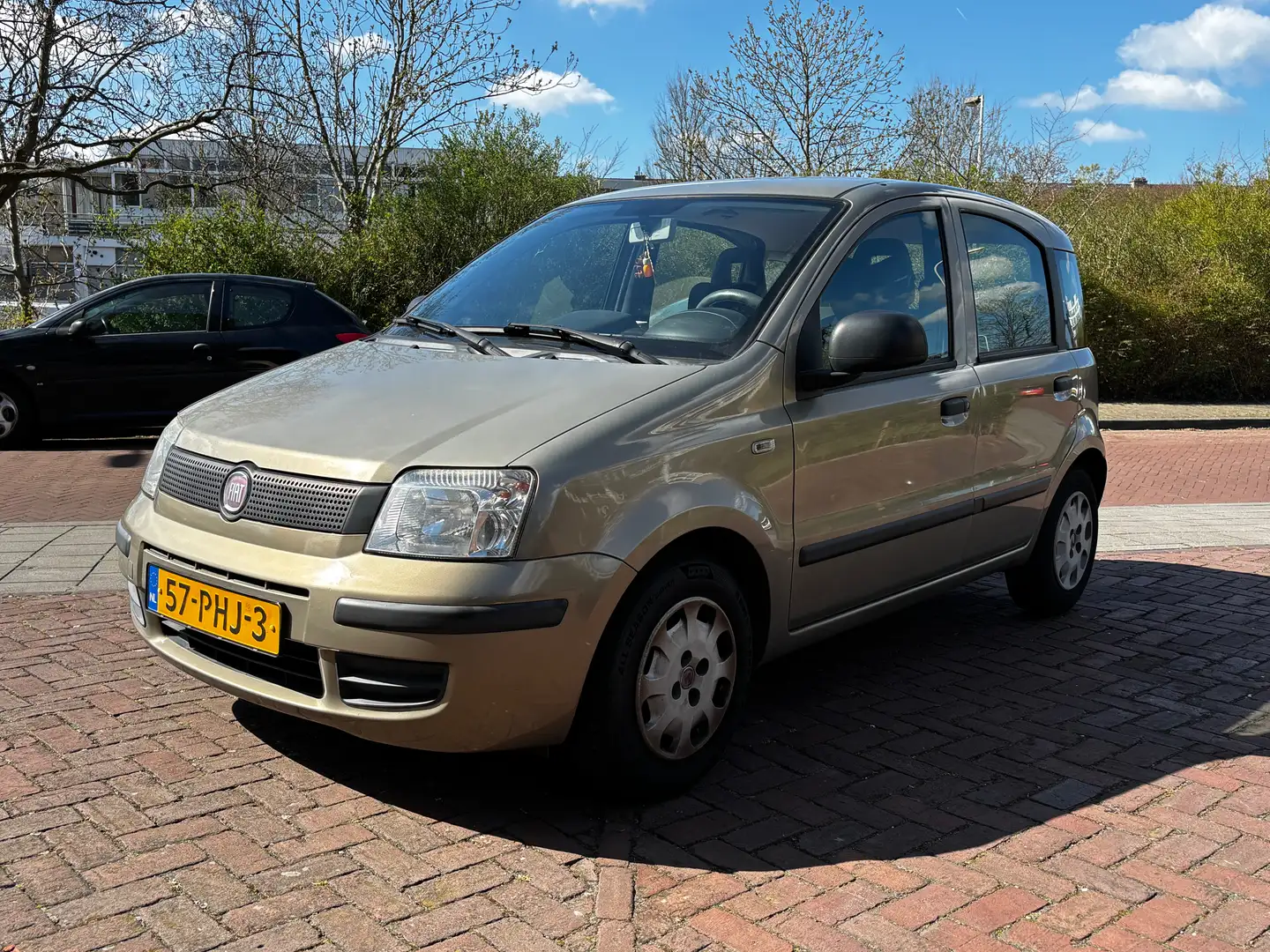 Fiat Panda 1.2 Active Beige - 1