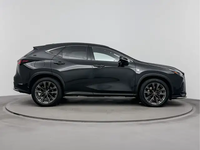 Lexus NX view 12