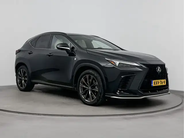 Lexus NX view 13