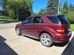 2010 Mercedes-Benz M-Class