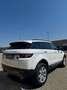 Land Rover Range Rover Evoque Range Rover Evoque 2.2 Sd4 5p. Prestige Bianco - thumbnail 5