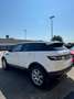 Land Rover Range Rover Evoque Range Rover Evoque 2.2 Sd4 5p. Prestige Bianco - thumbnail 7