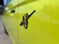 Abarth 500C e Scorpionissima Verde - thumbnail 11