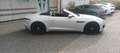 Jaguar F-Type F-Type Cabriolet Cabriolet AWD Aut. R-Dynamic Grau - thumbnail 17