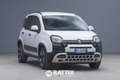 Fiat Panda 1.0 Firefly Hybrid 70CV Cross 5p.ti Blanco - thumbnail 1