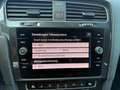 Volkswagen Golf Variant Rabbit 40 2,0 TDI DSG. | 1.Besitz | ACC | Massage Grau - thumbnail 25