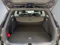 Ford Focus ST-Line X 1.0 155PS Aut.aAHK/LED/Kamera/Winterp. Schwarz - thumbnail 18