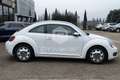 Volkswagen Maggiolino Maggiolino 1.6 TDI Design Blanc - thumbnail 4