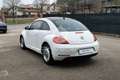 Volkswagen Maggiolino Maggiolino 1.6 TDI Design Blanc - thumbnail 7