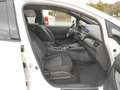 Nissan Leaf N-Connecta Sitzheizung, Parkpilot, Kamera Weiß - thumbnail 15