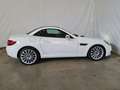 Mercedes-Benz SLC 250 SLC - R172 2017 d AMG Line auto Weiß - thumbnail 6