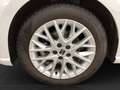 SEAT Ibiza 1.0 TSI DSG FR NAVI LED KAMERA ACC VIRTUAL Weiß - thumbnail 7