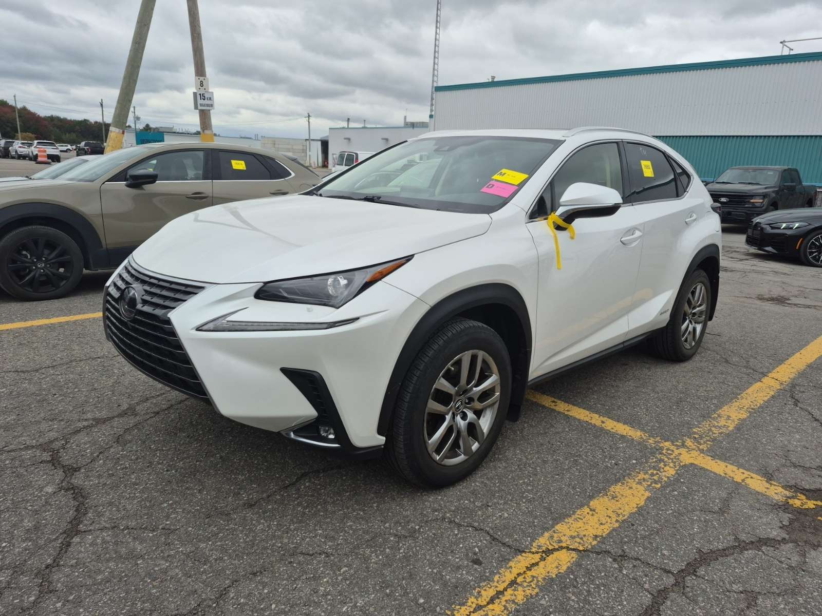 2021 Lexus NX Hybrid