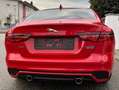Jaguar XE XE P250 S Aut. S Rot - thumbnail 3