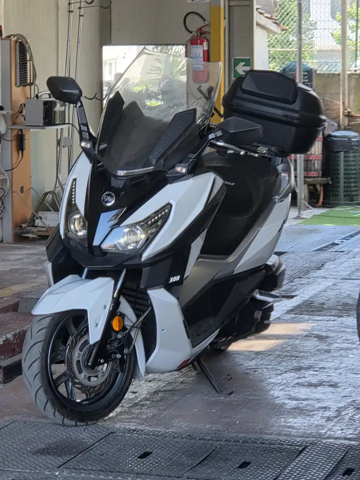 Sym Cruisym 300