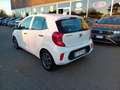 Kia Picanto 1.0 Gpl 65 CV E6 Bianco - thumbnail 5