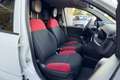 Fiat Panda Panda 0.9 t.air t. natural power Easy 70cv Bianco - thumbnail 11