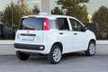 Fiat Panda Panda 0.9 t.air t. natural power Easy 70cv Bianco - thumbnail 3