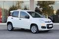 Fiat Panda Panda 0.9 t.air t. natural power Easy 70cv Bianco - thumbnail 4