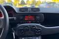 Fiat Panda Panda 0.9 t.air t. natural power Easy 70cv Bianco - thumbnail 10